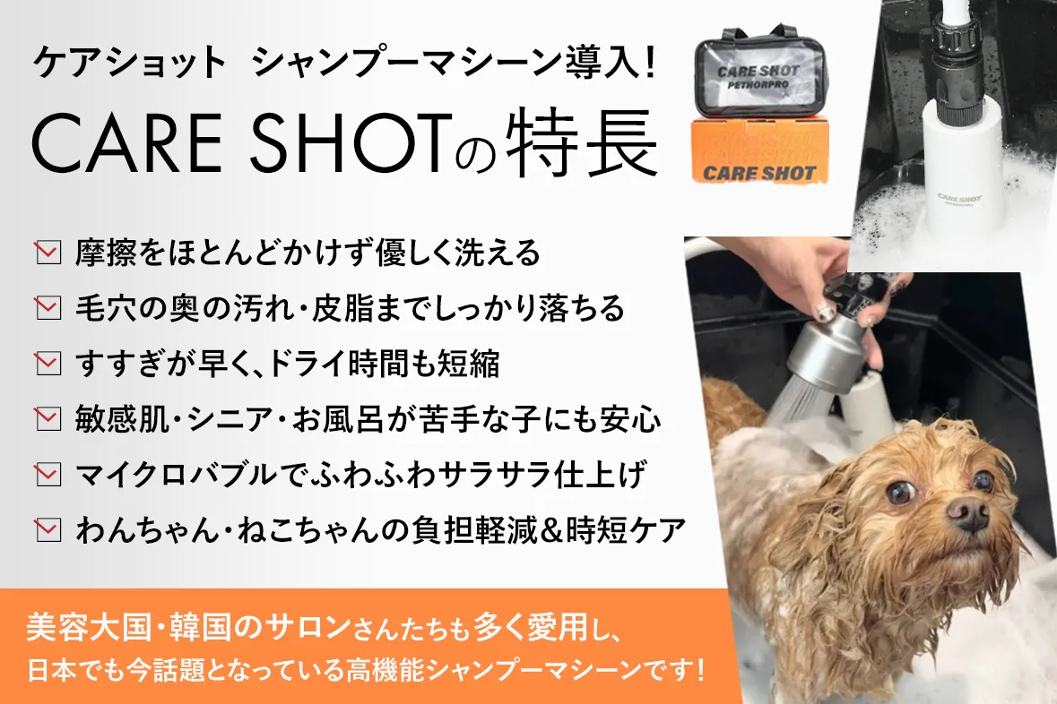 mv_イメージわんちゃん3