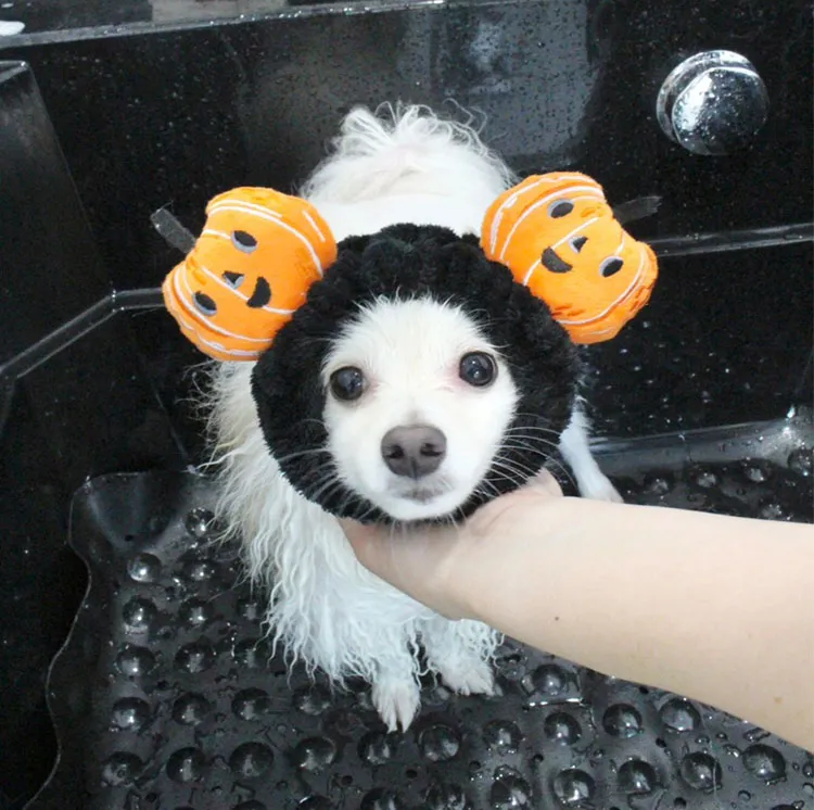 シャンプーシーンわんちゃん1