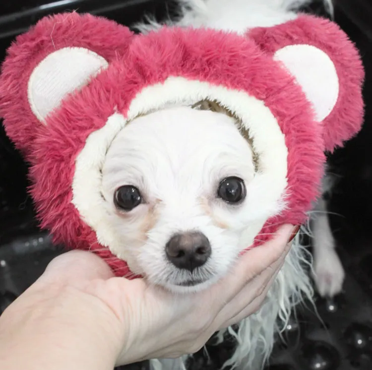 シャンプーシーンわんちゃん8