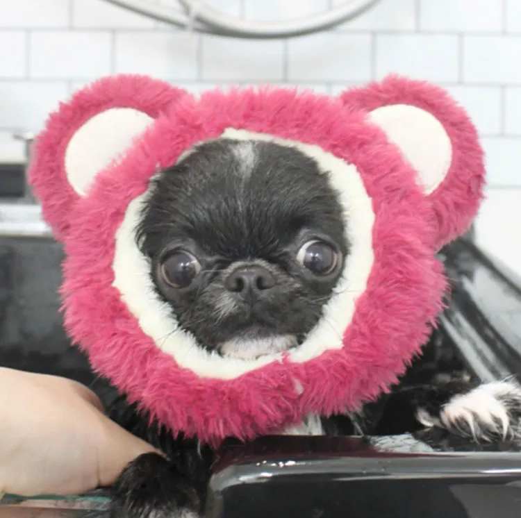 シャンプーシーンわんちゃん9