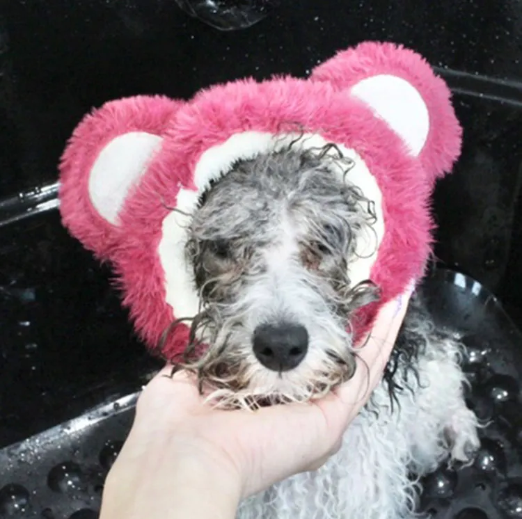 シャンプーシーンわんちゃん10