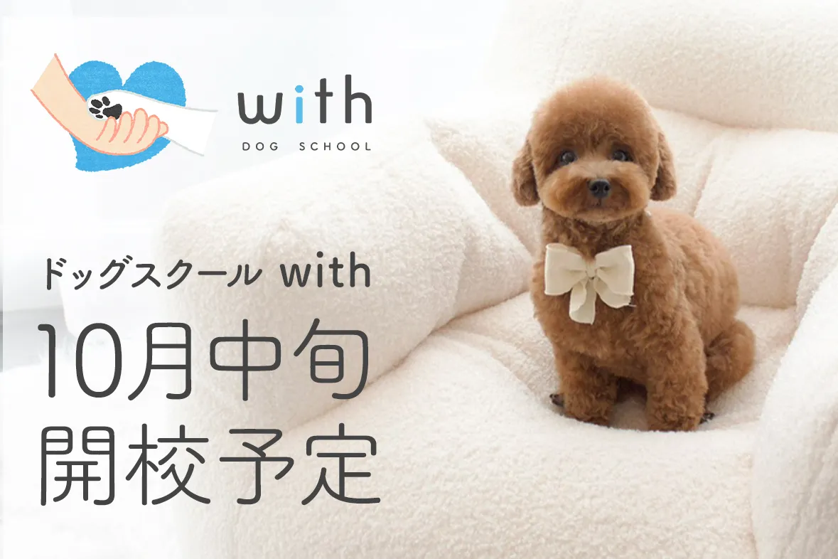 with ドッグスクール10月開校予定